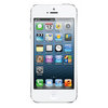 Apple iPhone 5 16Gb white - Дальнереченск